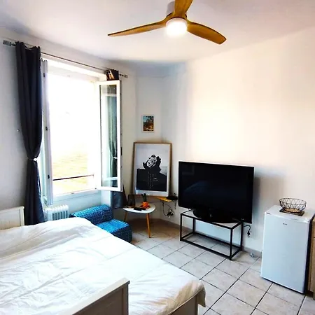 Apartment Charming Ideal For Congresses And Holidays Live In Gazagnaire Cannes