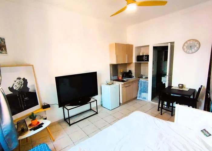 Charming Ideal For Congresses And Holidays Live In Gazagnaire شقة *