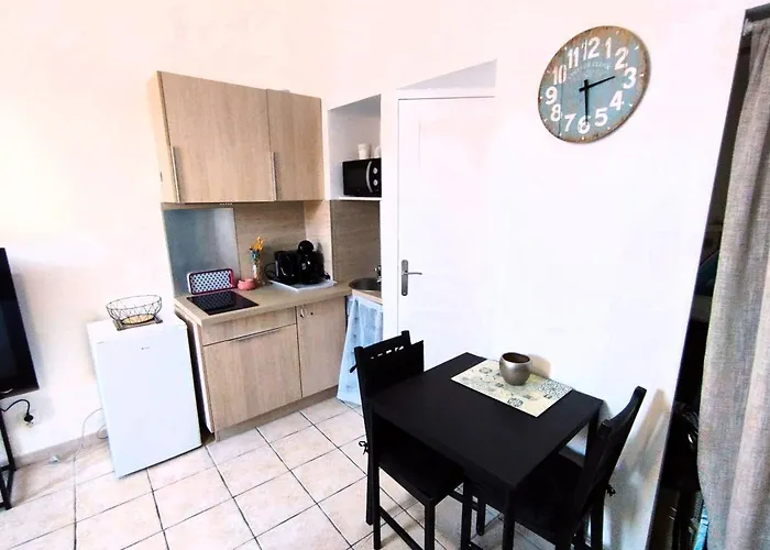 Apartment Charming Ideal For Congresses And Holidays Live In Gazagnaire Cannes